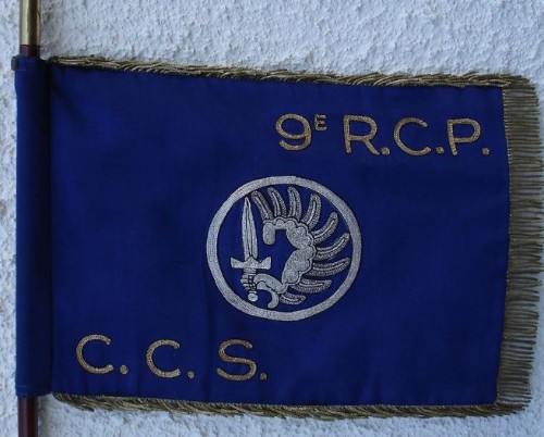 " Fanion de la CCS offert au Capitaine François DERLAN à l'issue de son temps de commandement  .