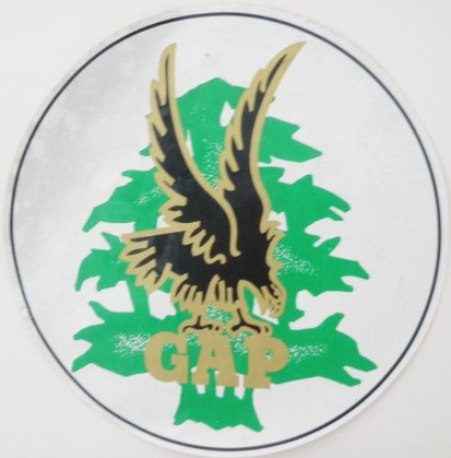 insigne du groupement aéroporté