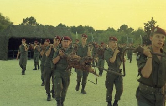 Les porteurs des compagnies Les porteurs des compagnies